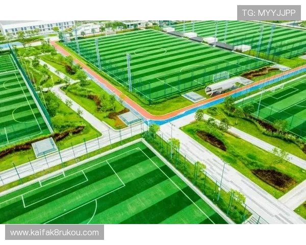 让您尽享乐趣的凯发体育集团网址使用技巧与经验分享 让您尽享乐趣的凯发体育集团网址使用技巧与经验分享