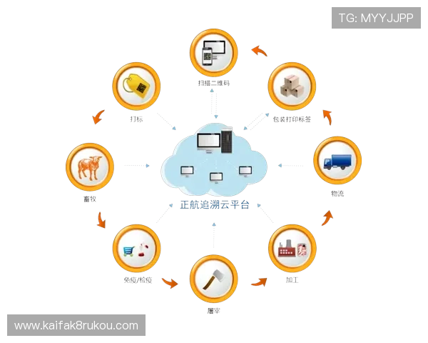 凯发体育官网平台网址查询最新指南帮助用户快速找到官方平台入口