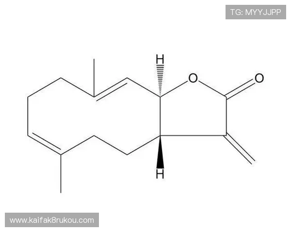 掌握K8凯发游戏网址的最新动态,第一时间获取官方入口信息与安全保障措施 掌握K8凯发游戏网址的最新动态,第一时间获取官方入口信息与安全保障措施
